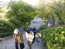 大阪市生野区の日本電子工業㈱ 広報ブログ-市民の森から玉造門への心臓破りの階段